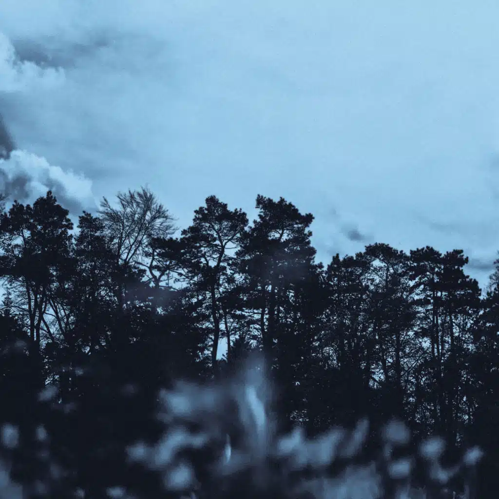 in the quiet of loss