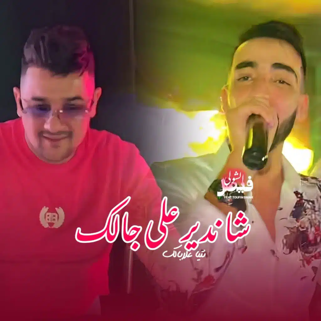 فيصل شول