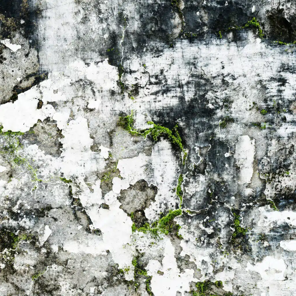 Sola Contagio
