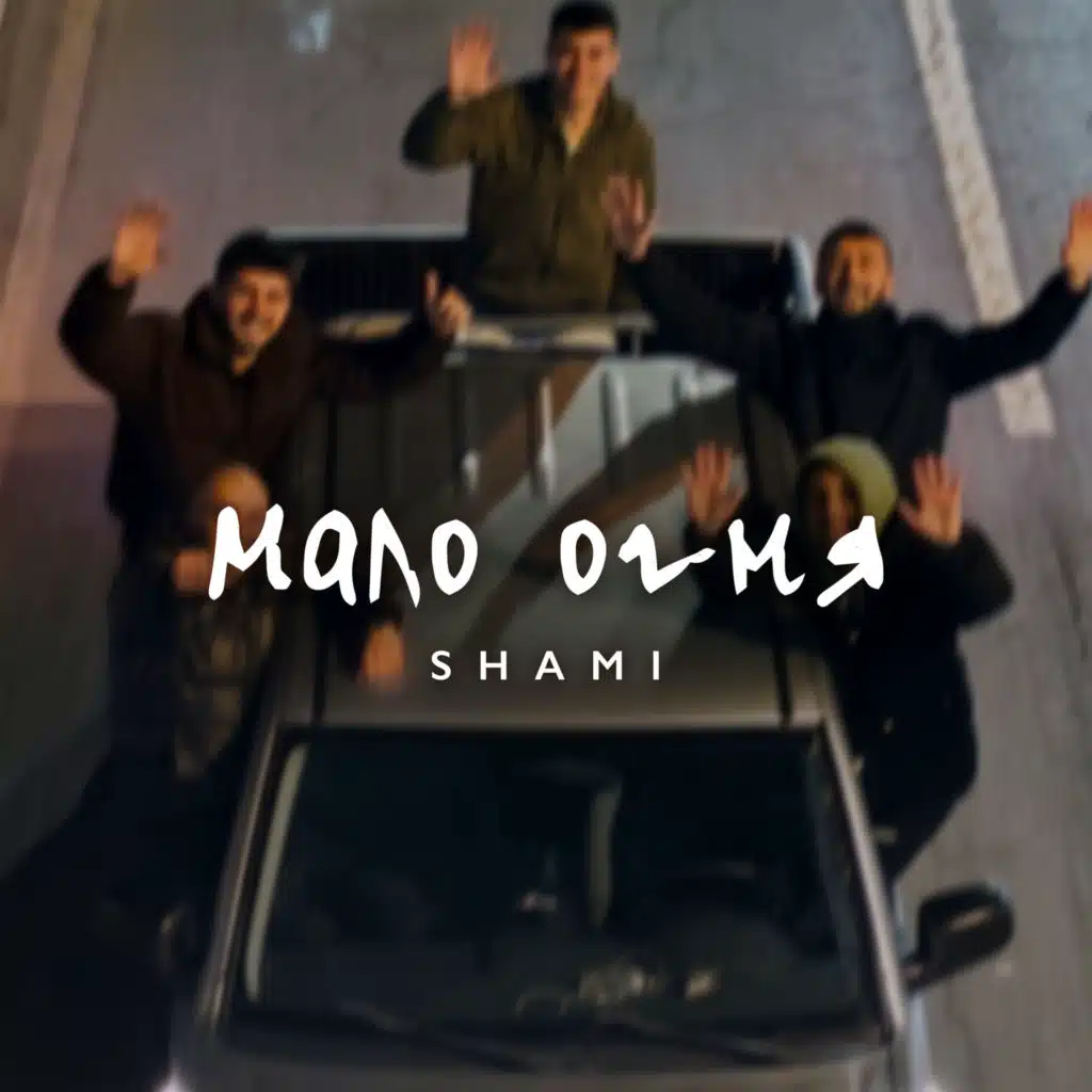 SHAMI