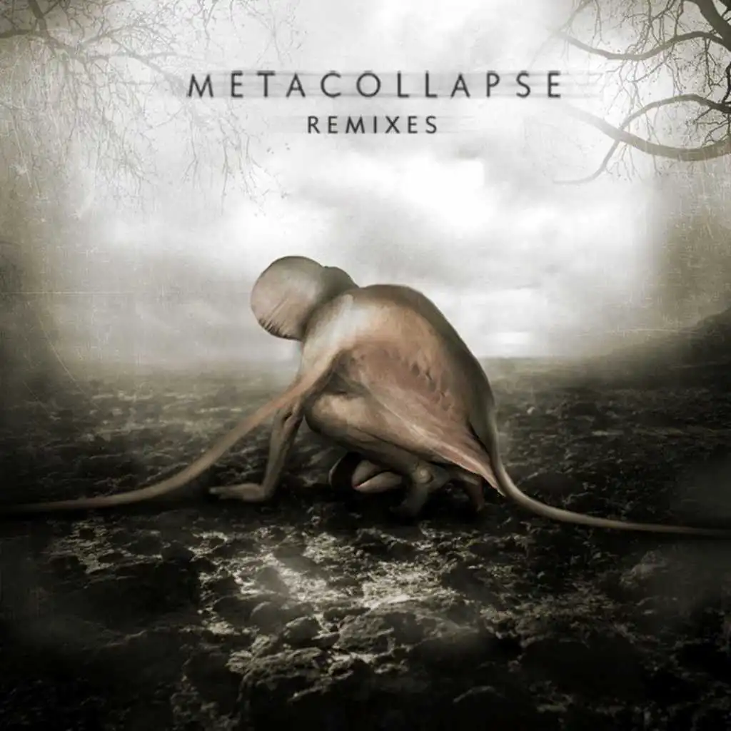 Metacollapse (Audio Injection Remix)