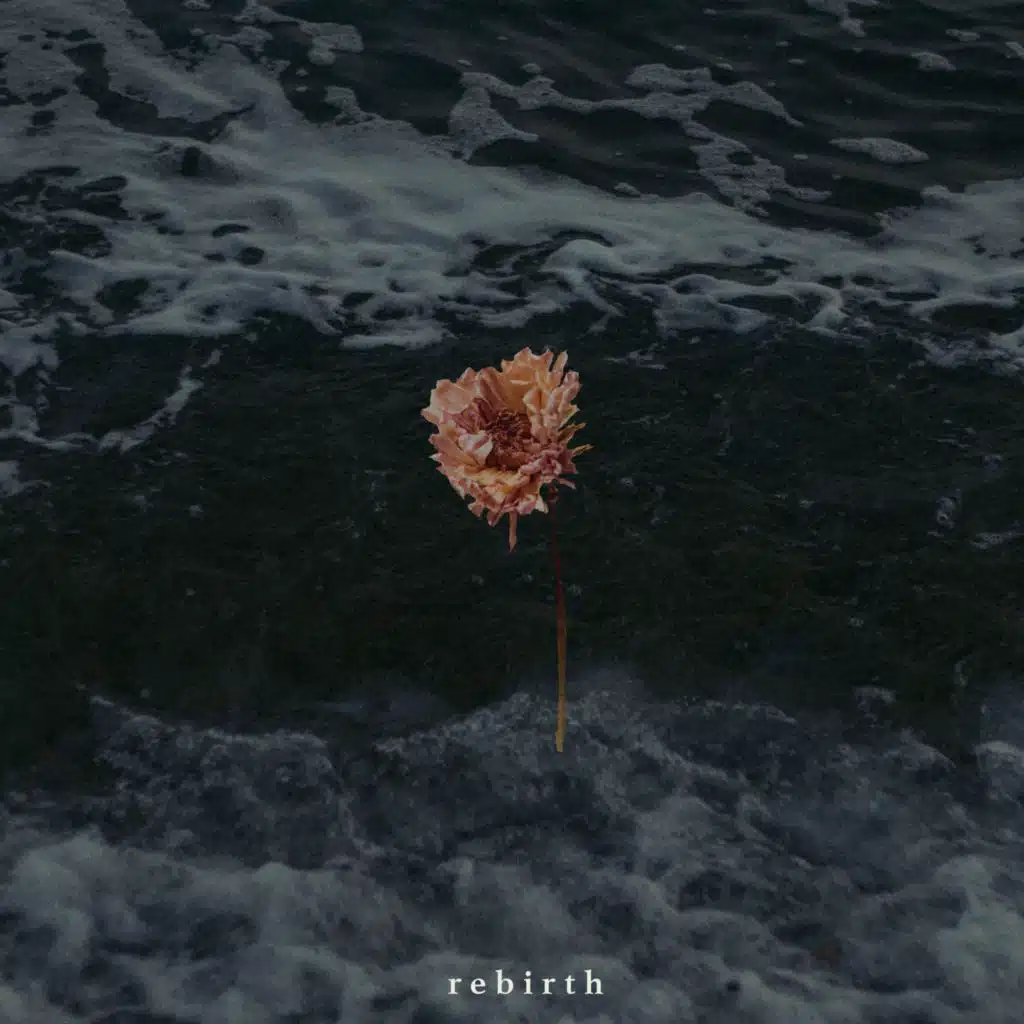 Rebirth