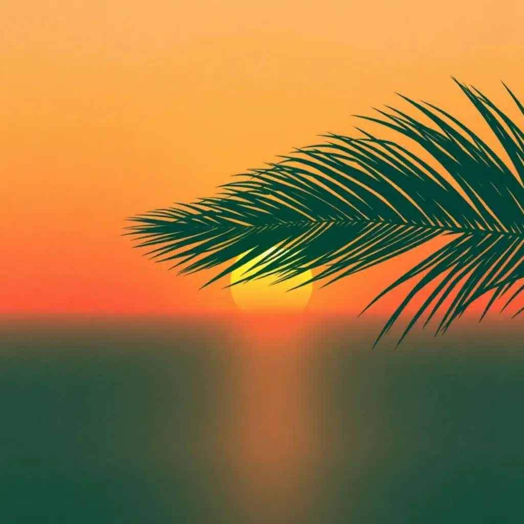 Viento Y Sol