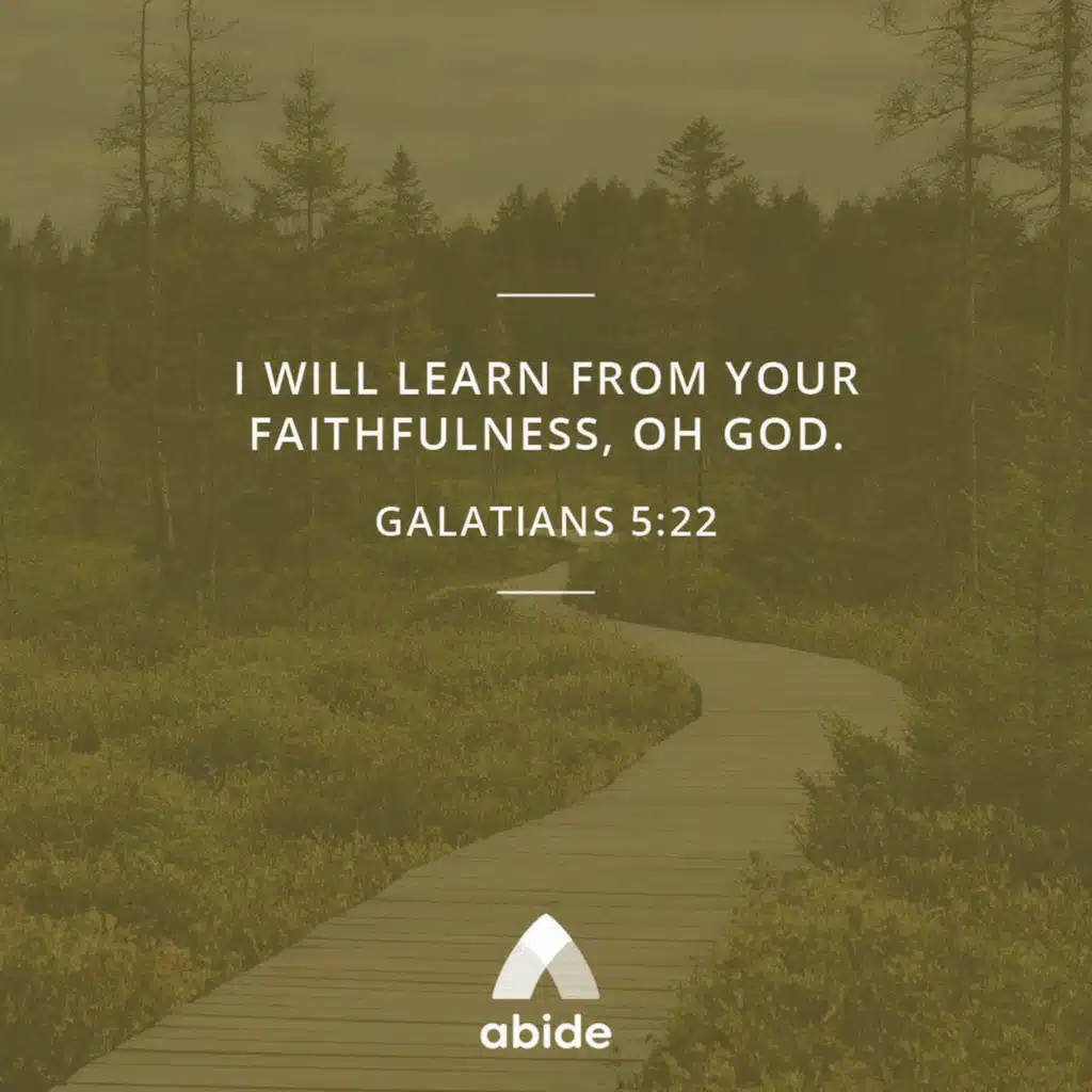 Faithfulness