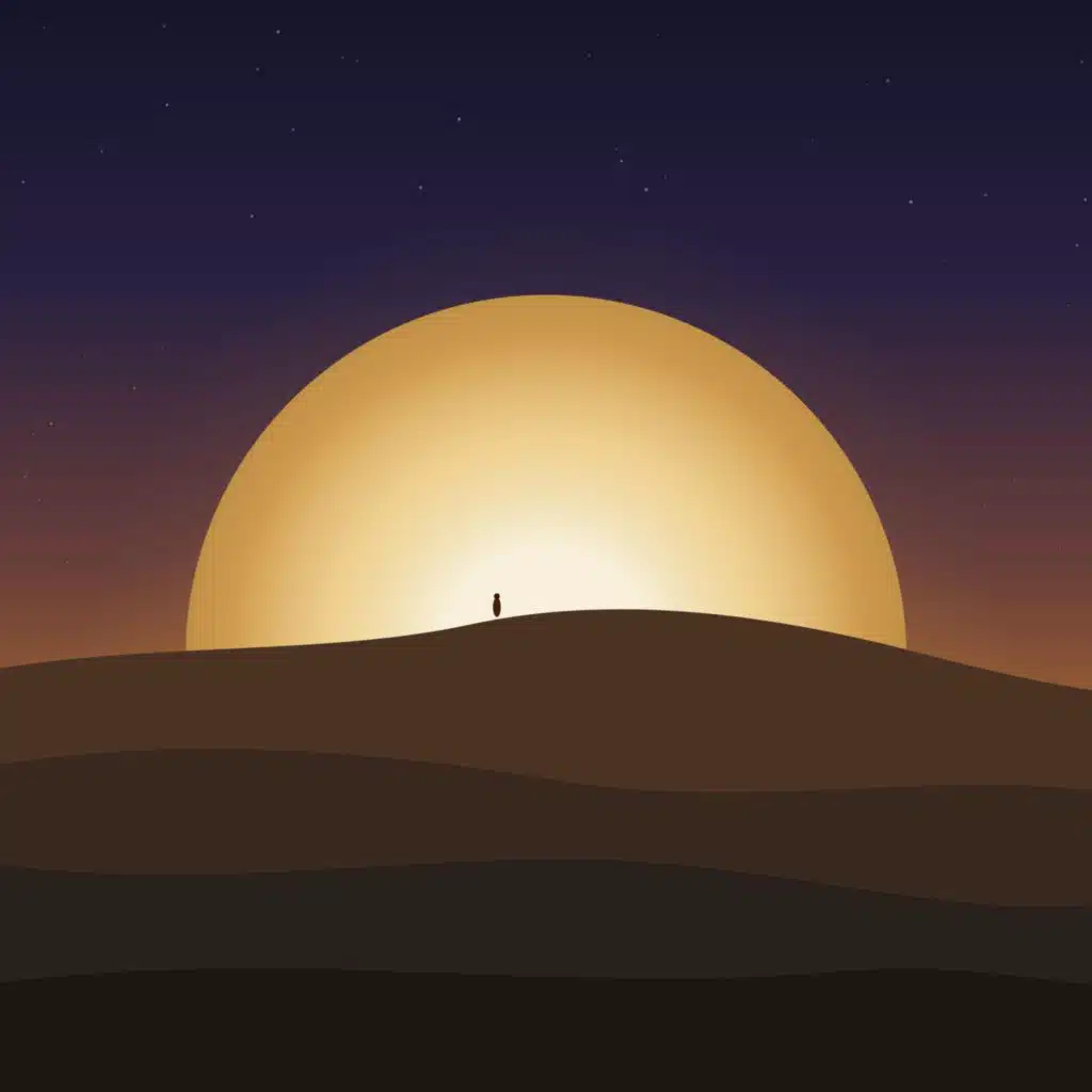 Moon Traveler