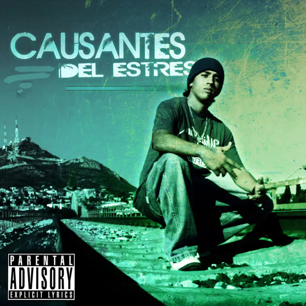 Causantes del Estres