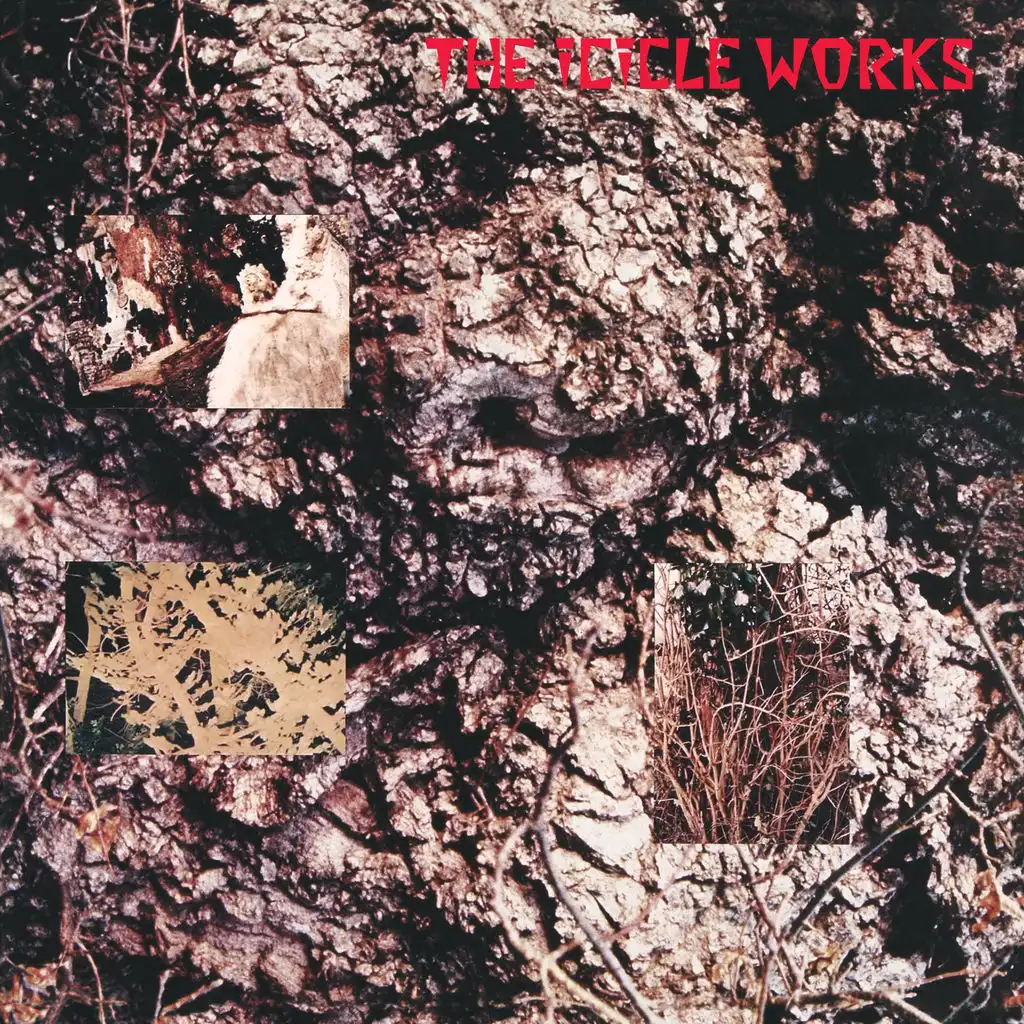 The Icicle Works (De-luxe)