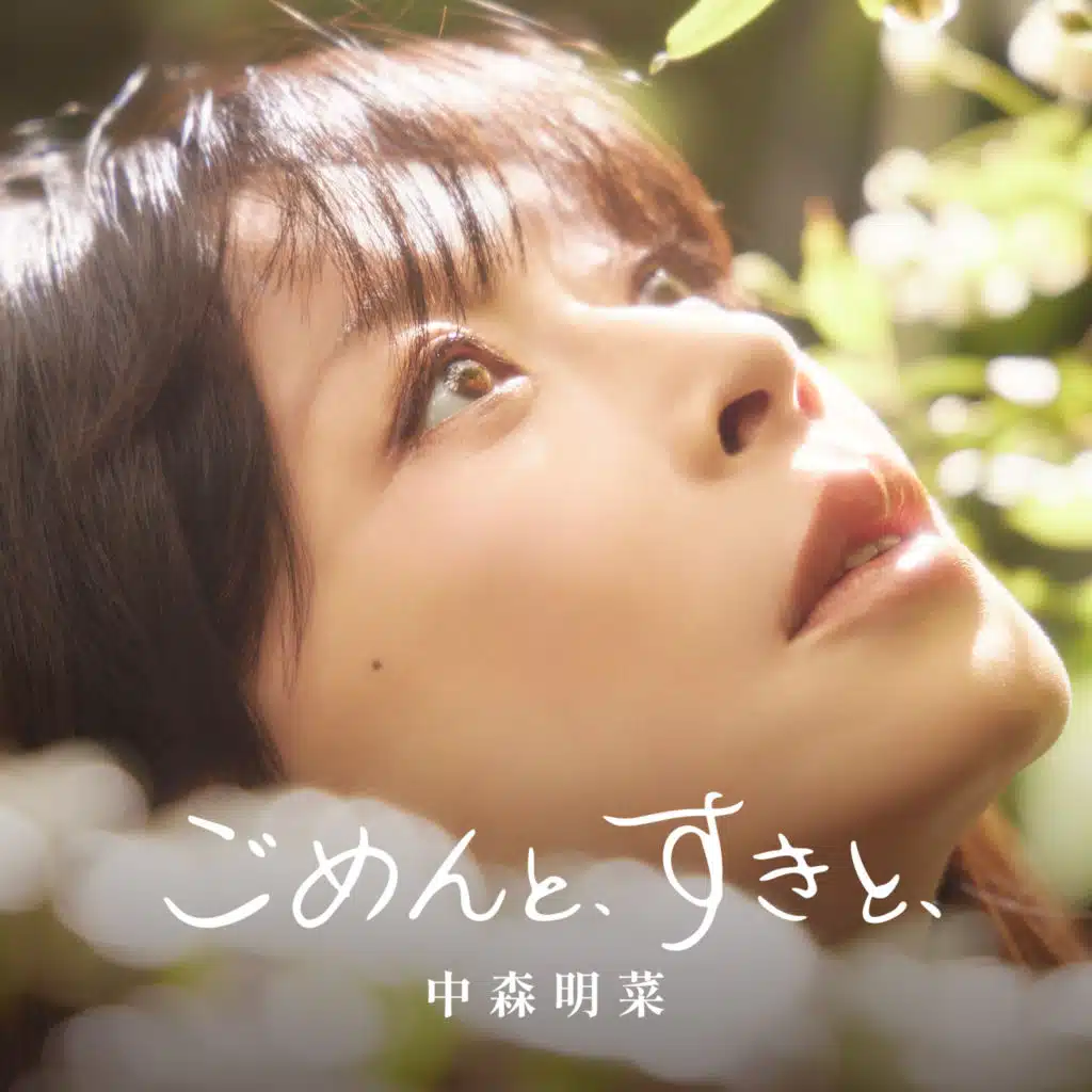 Akina Nakamori