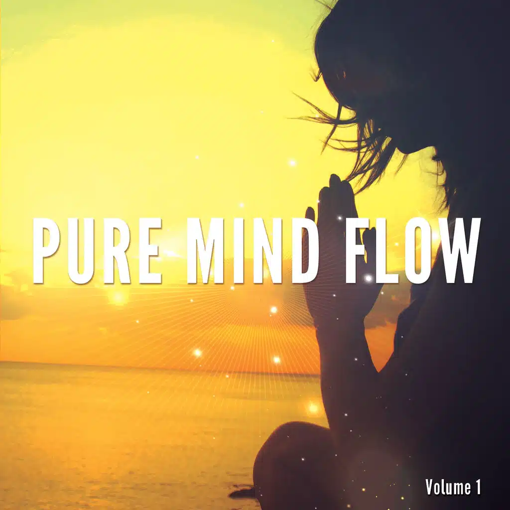 Pure Mind Flow, Vol. 1 (Slow & Peaceful Music Vibes)