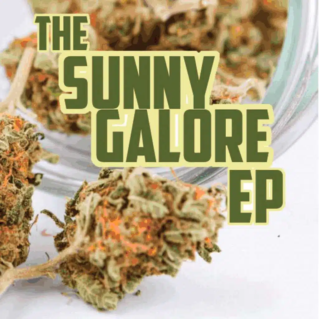 The Sunny Galore - EP