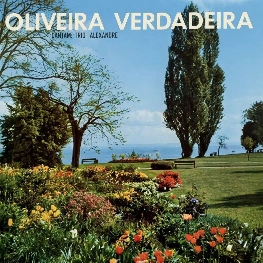 Oliveira Verdadeira