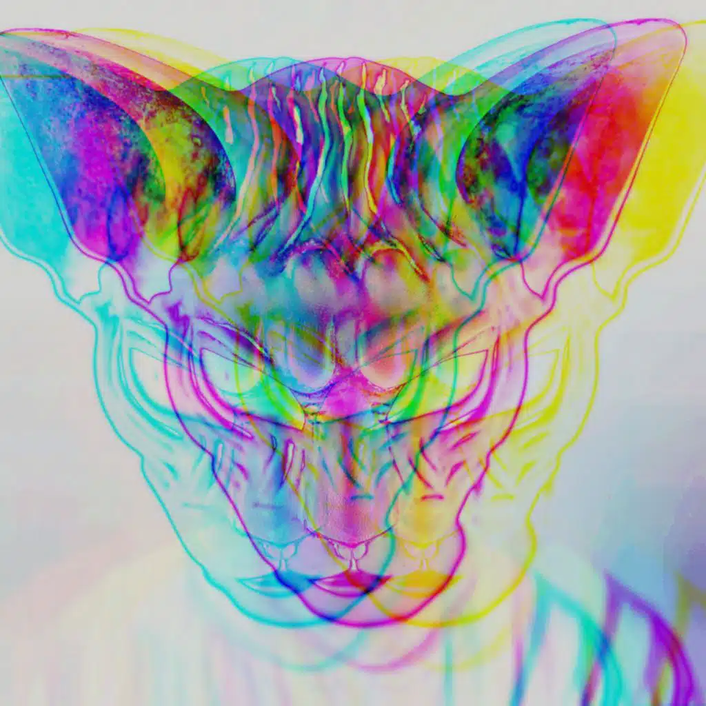 Tiktok Versions (Sped up & Slowed + Reverb)