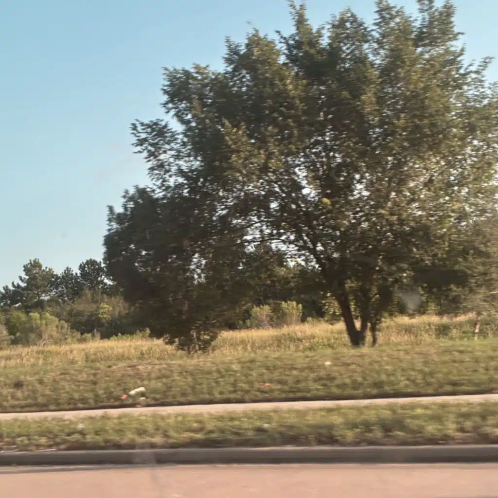 GREEN PASTURES