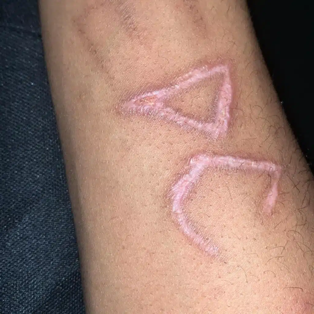 The Heart