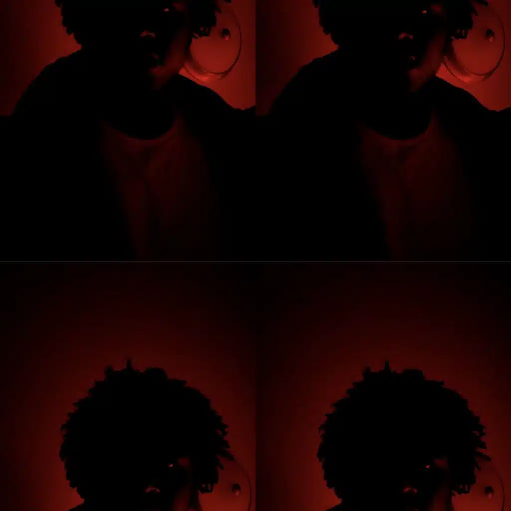 PHASES