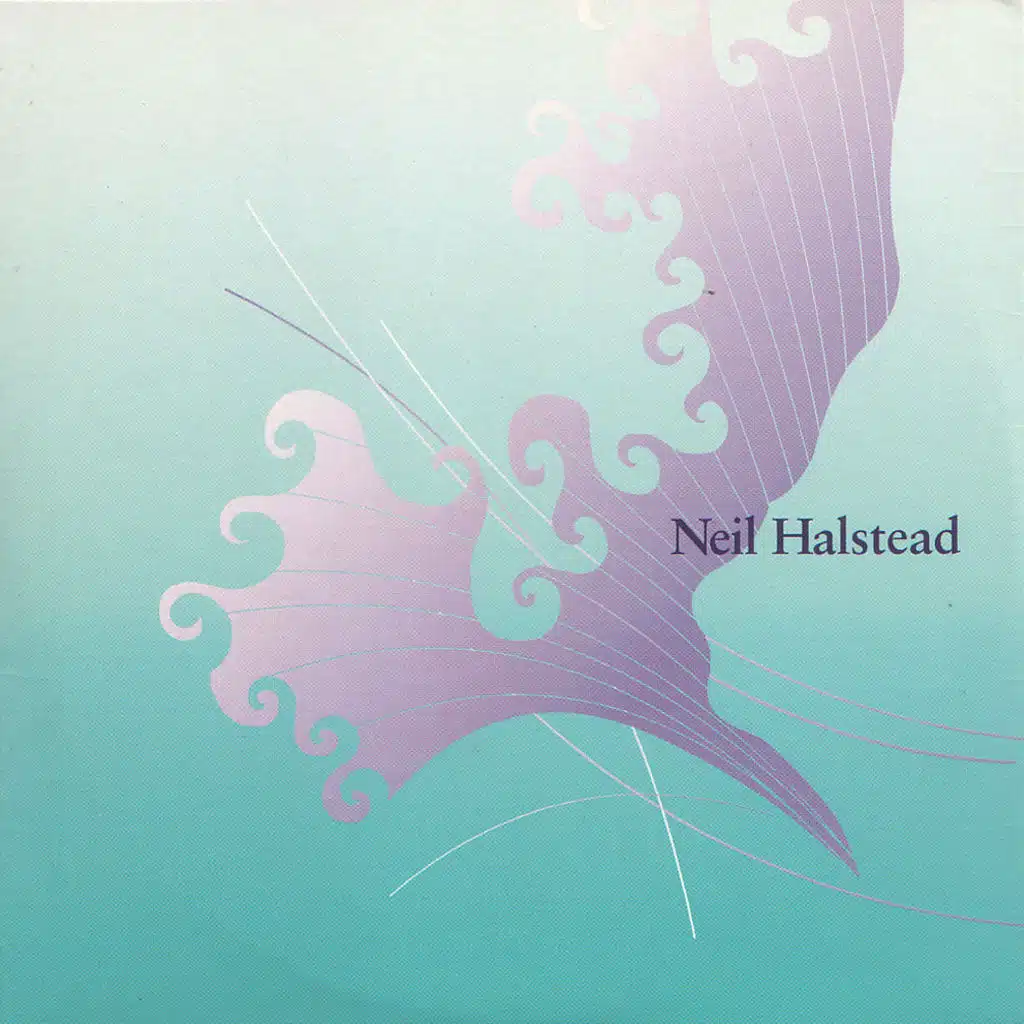 Two Stones in My Pocket