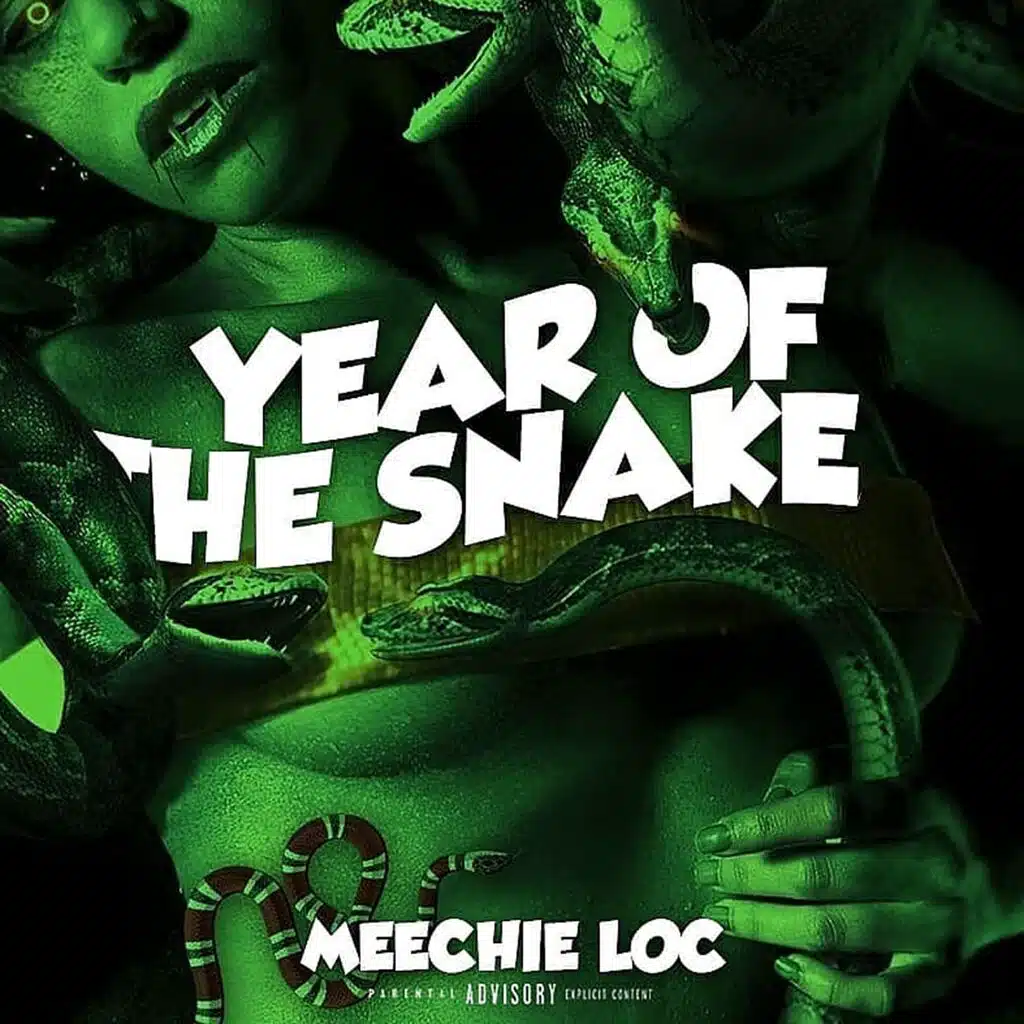 YearofTheSnake