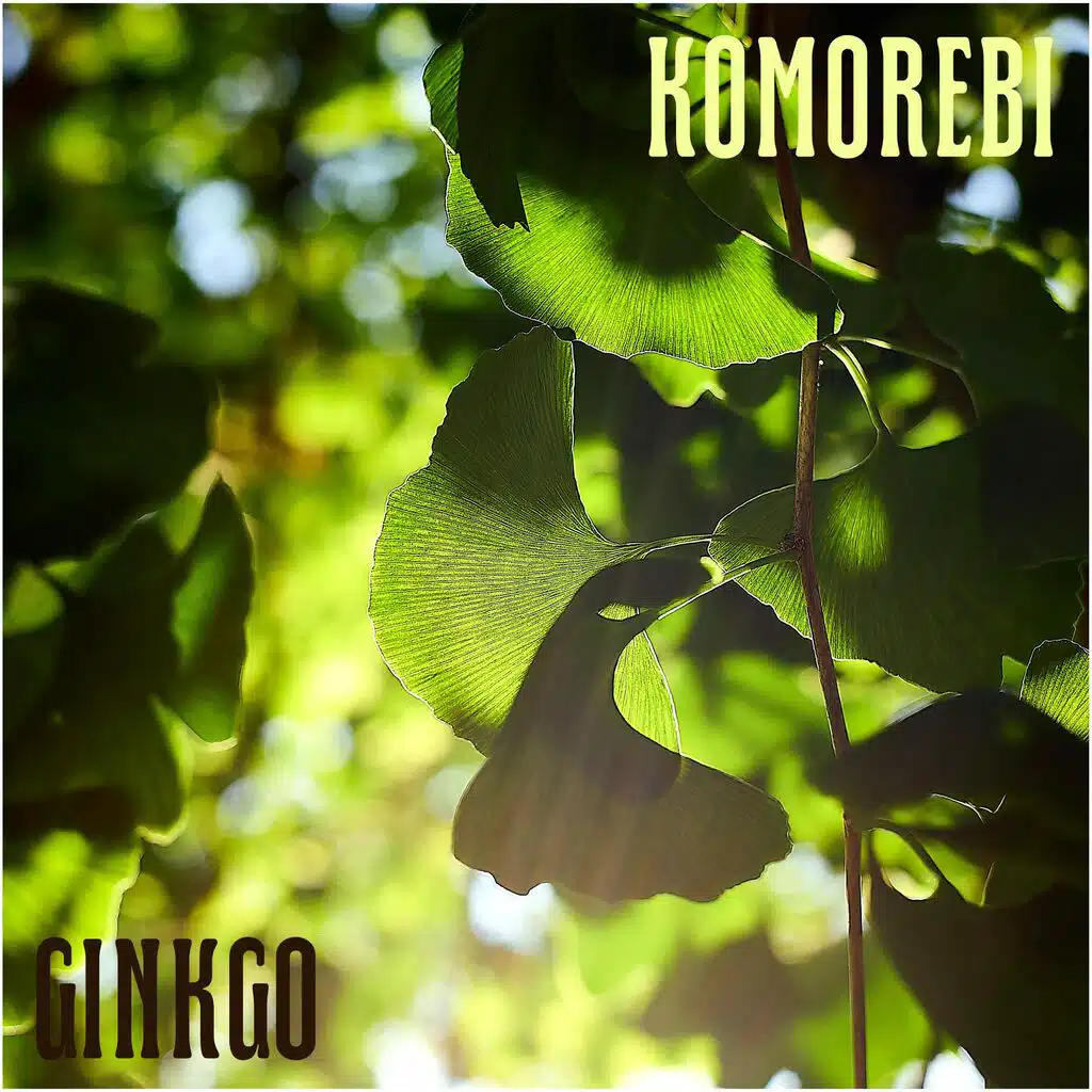Ginkgo