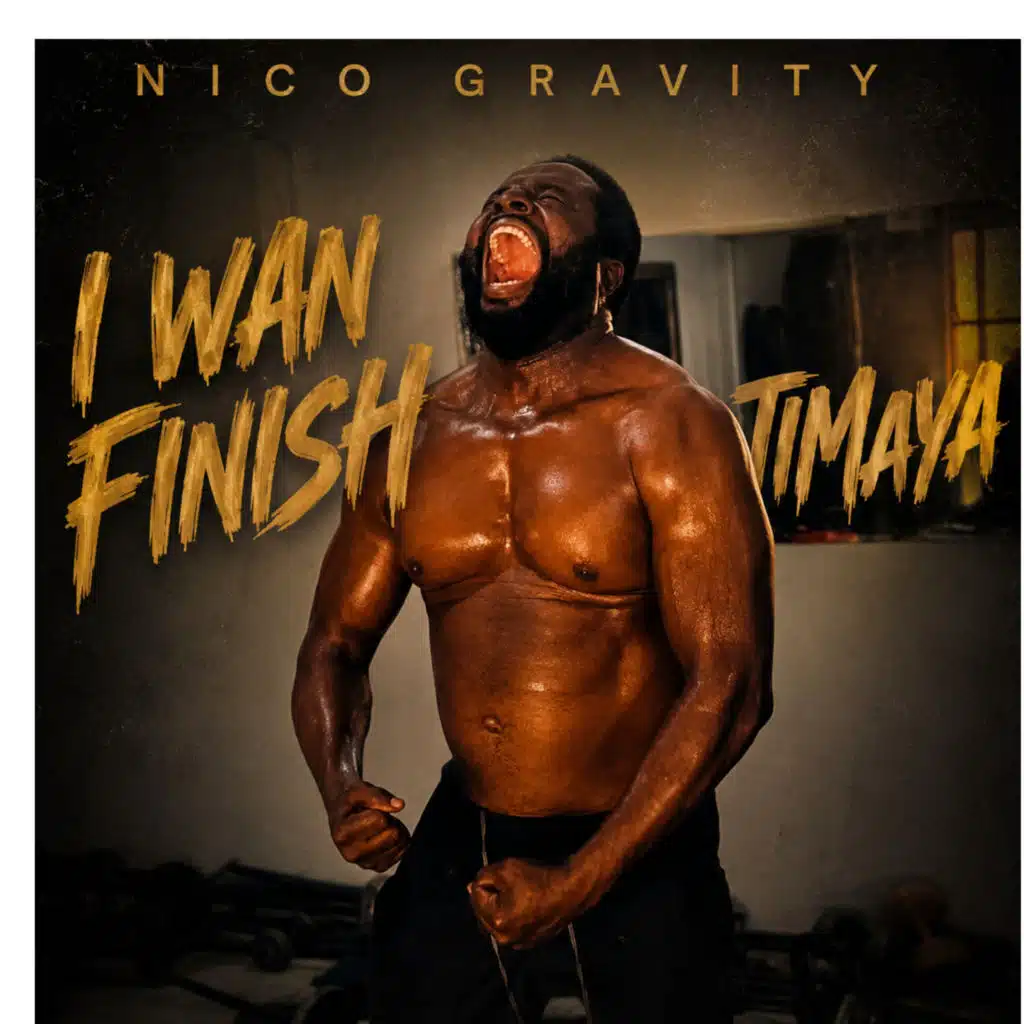Nico Gravity