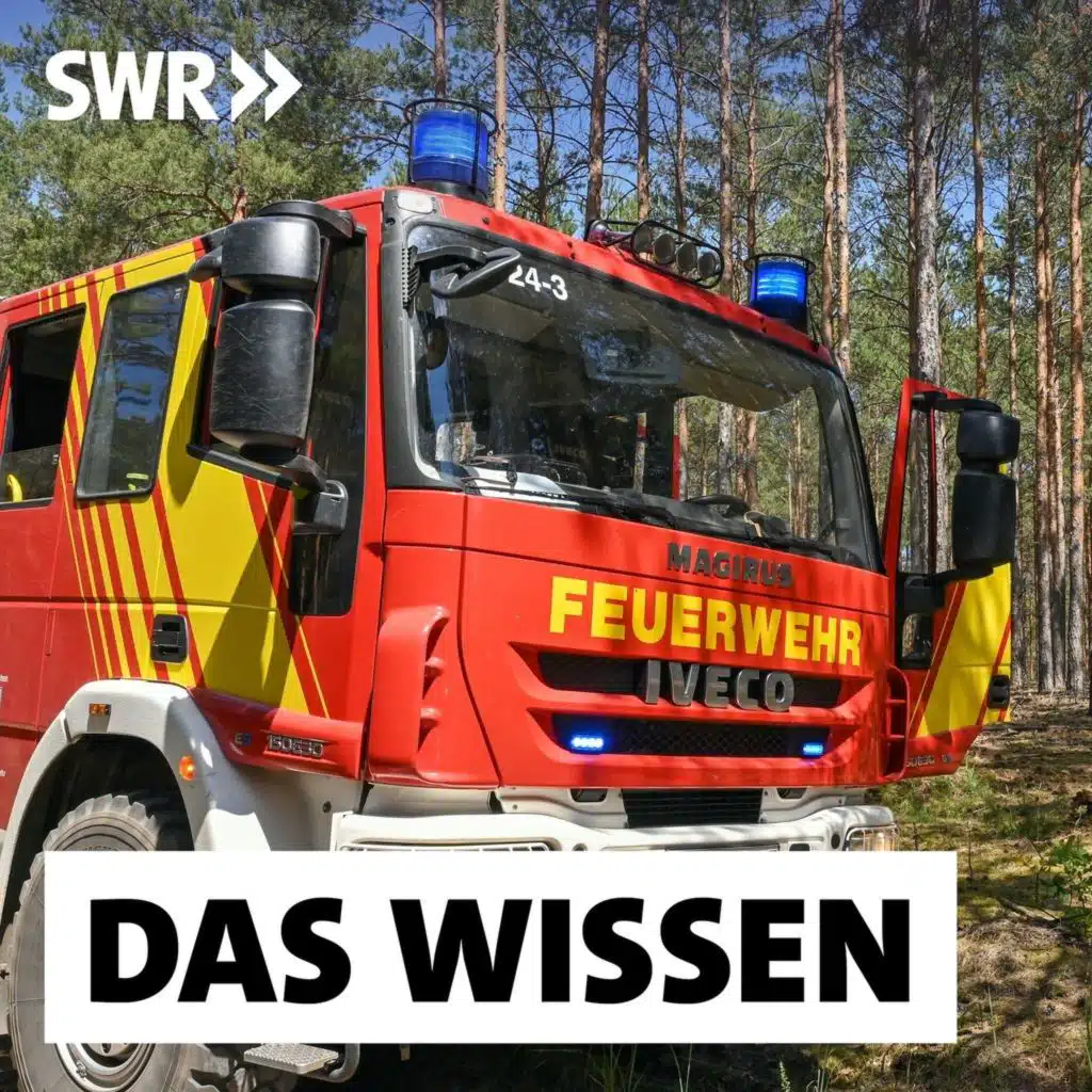 Waldbrände verhindern – Feuerresistente Baumarten und neue Technik