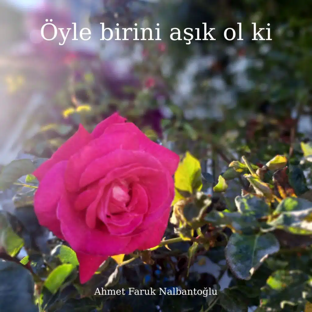 Ahmet Faruk Nalbantoglu