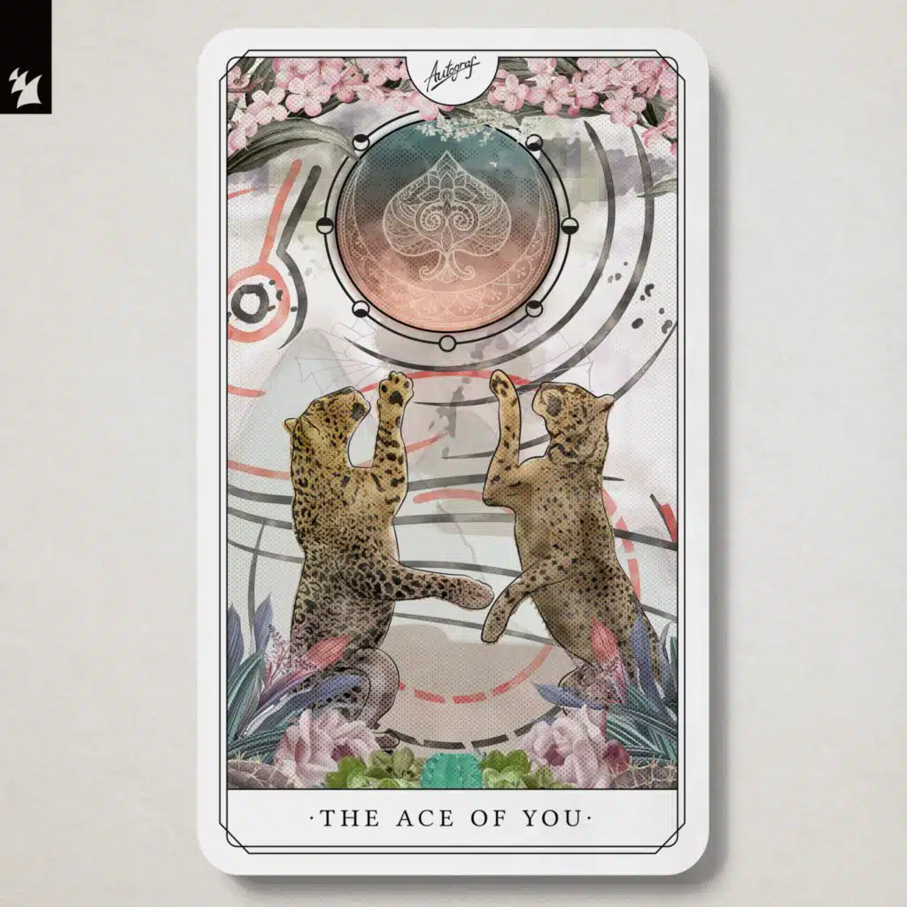 The Ace Of You (Extended Versions)