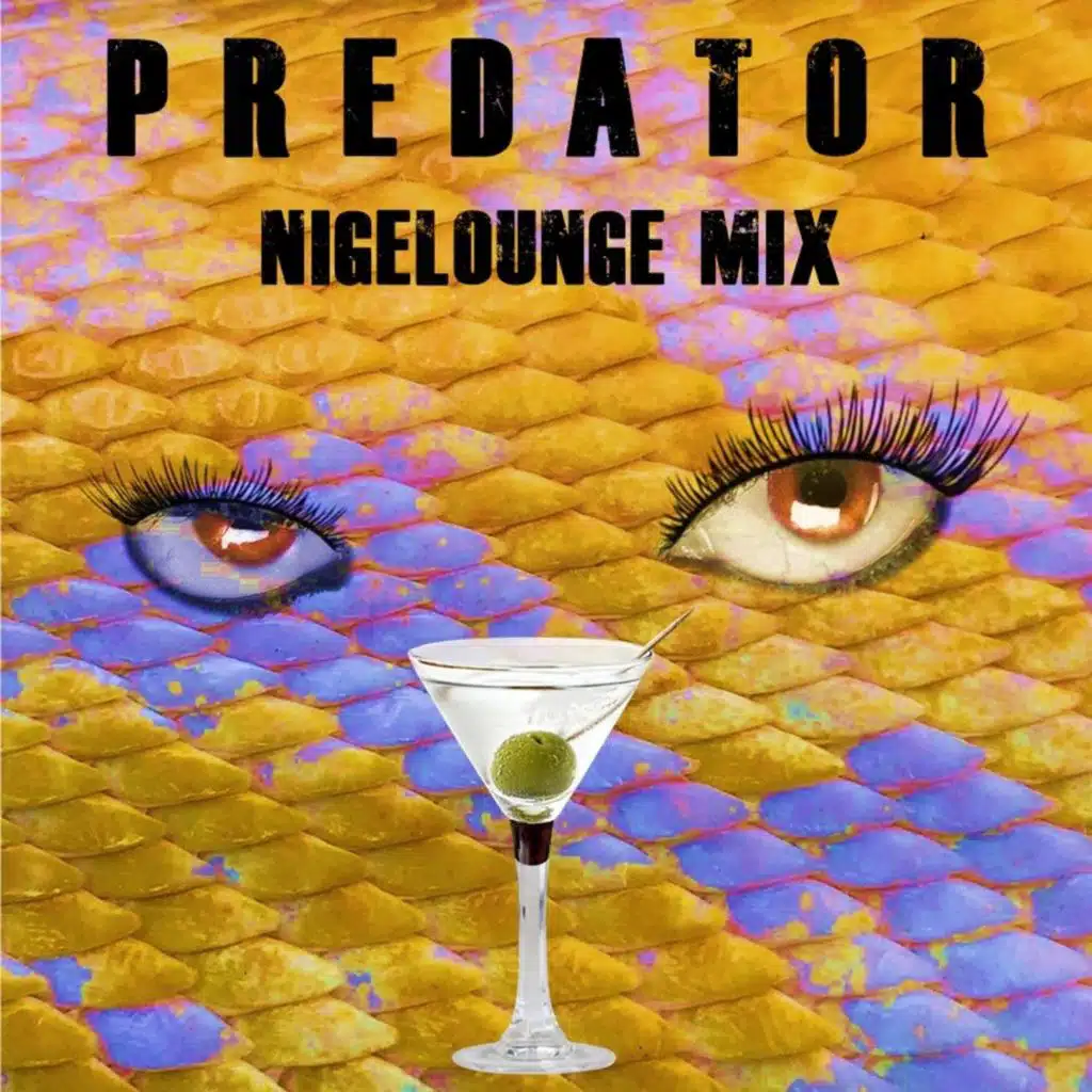 Predator (Nigelounge Mix) [feat. J Morris & Brent Bodrug]