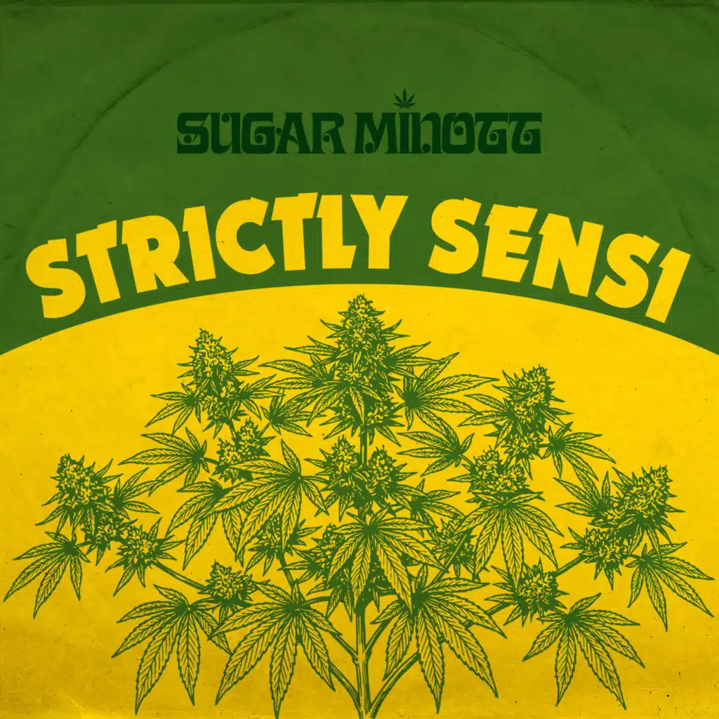 Strictly Sensi