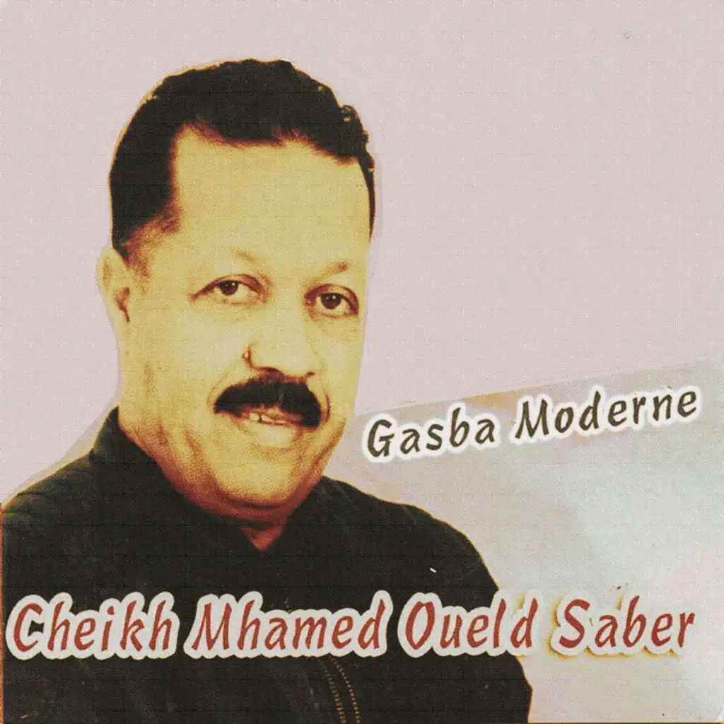محمد ولد صابر
