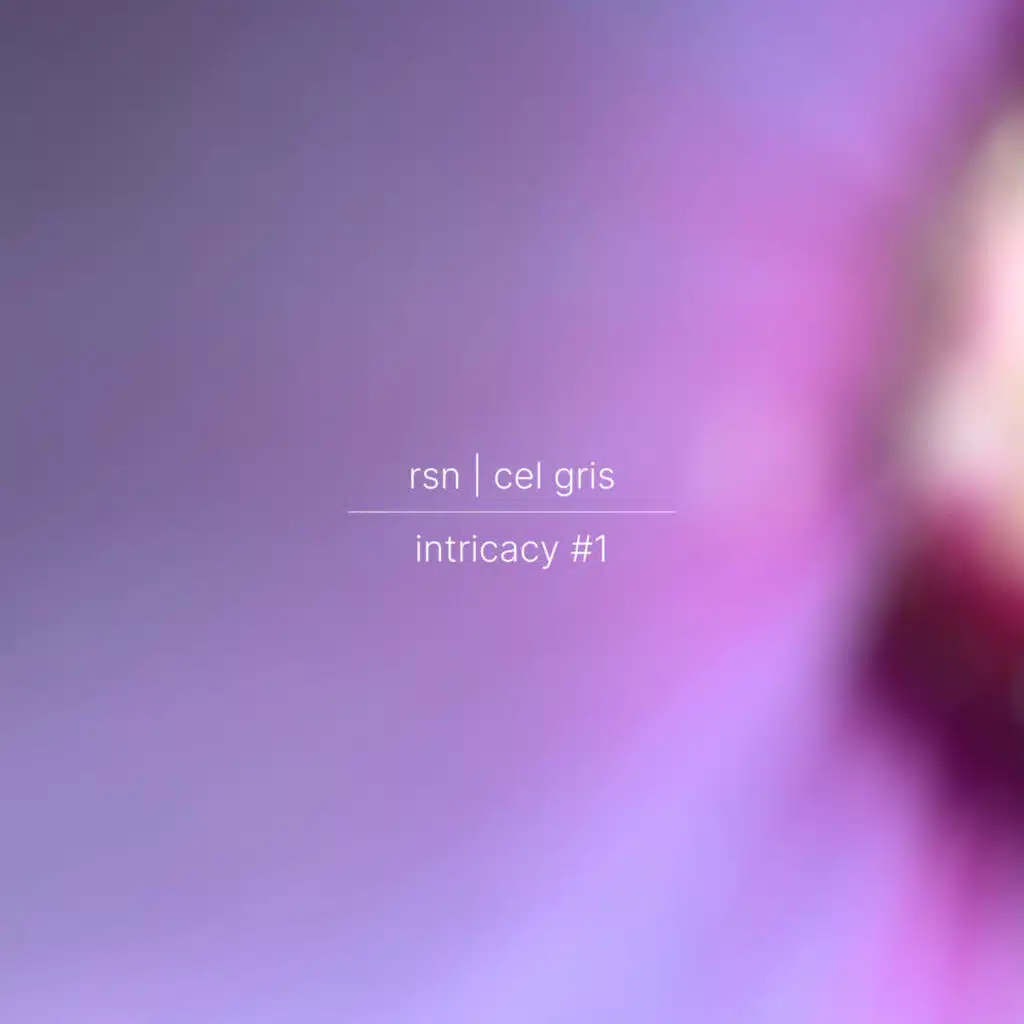 Rsn & cel gris