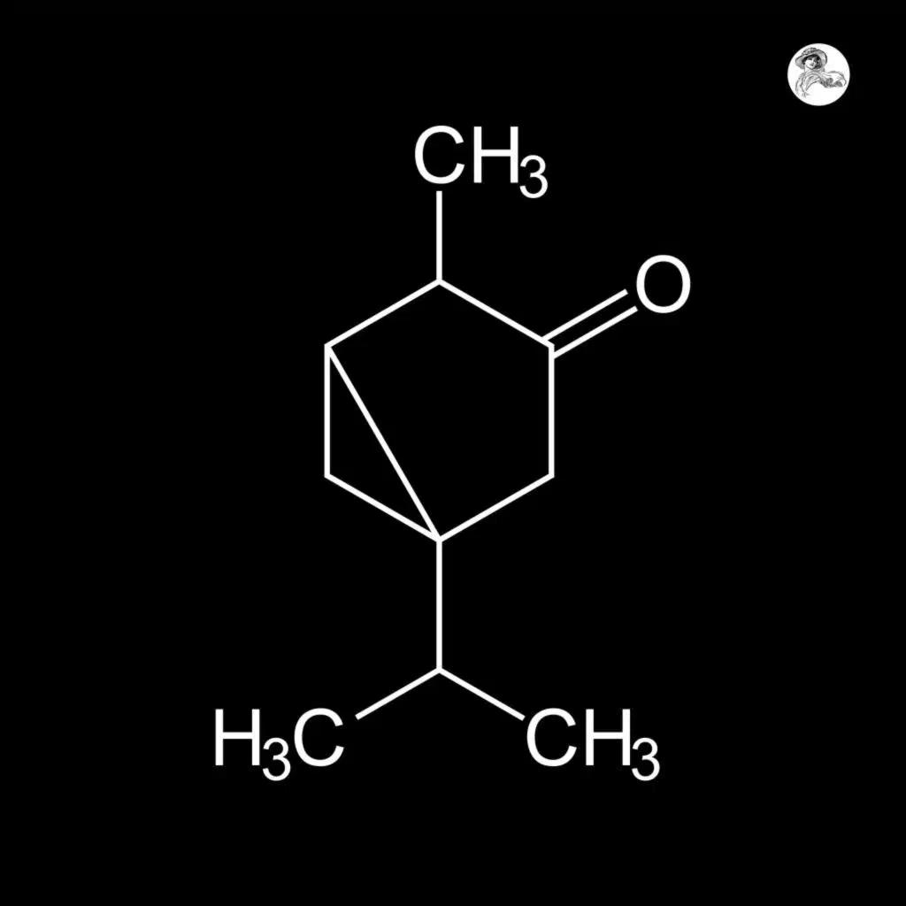 Drymer