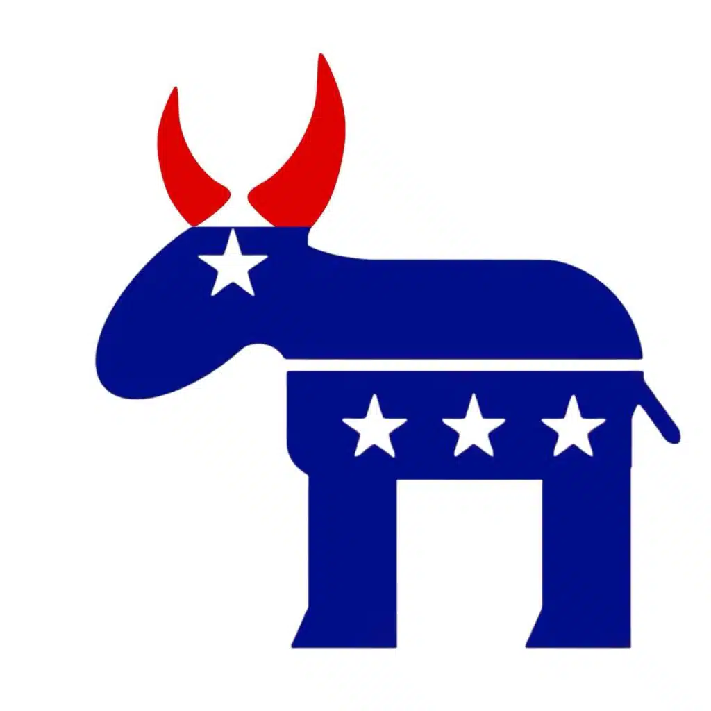 The Democratic Party w/ Cecilia Guerrero