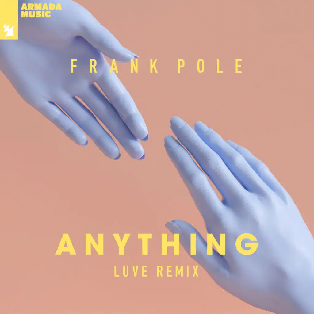 Anything (LUVE Remix)