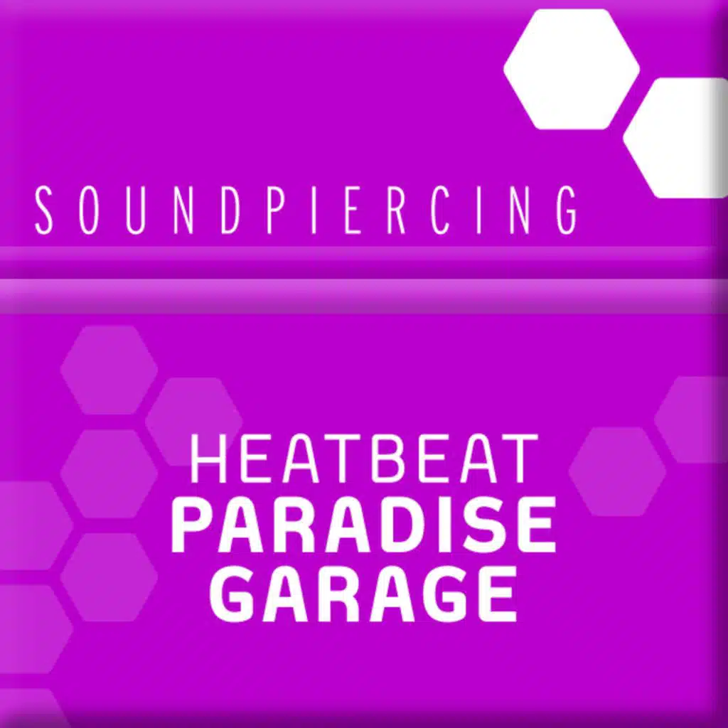 Paradise Garage (DJ Eco Remix)