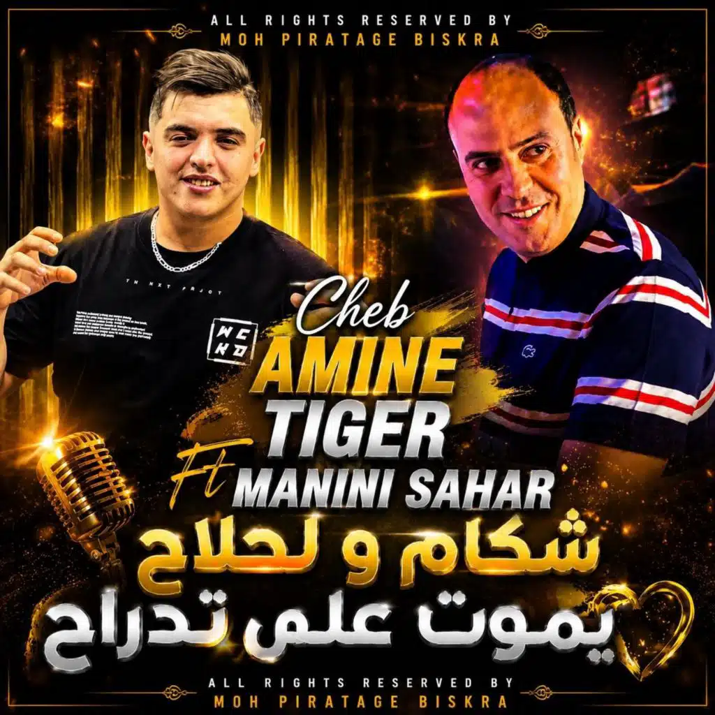 Cheb Amine tiger