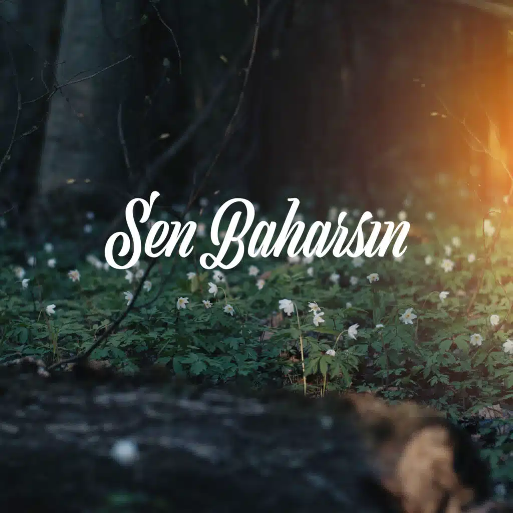 Güncel Paylaşımlar TV