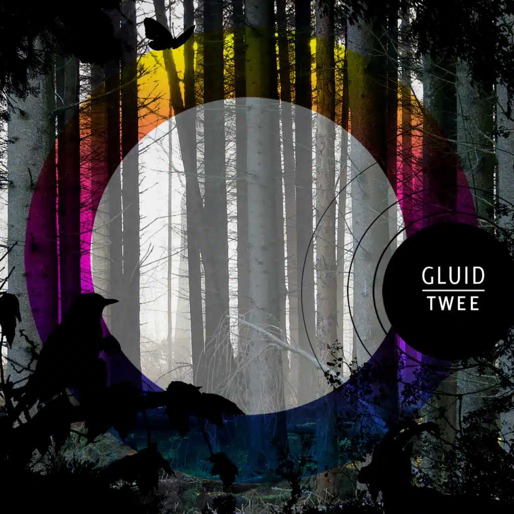Gluid