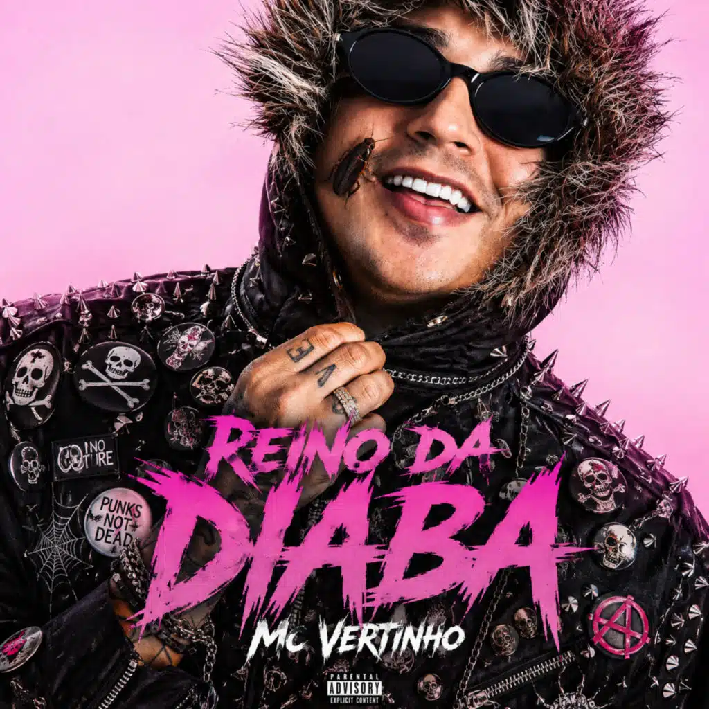 Mc Vertinho