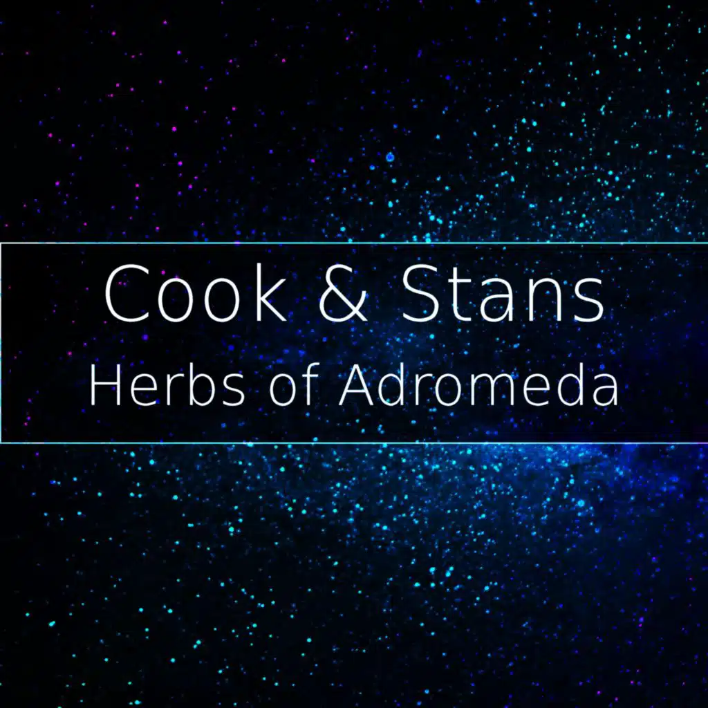 Cook & Stans
