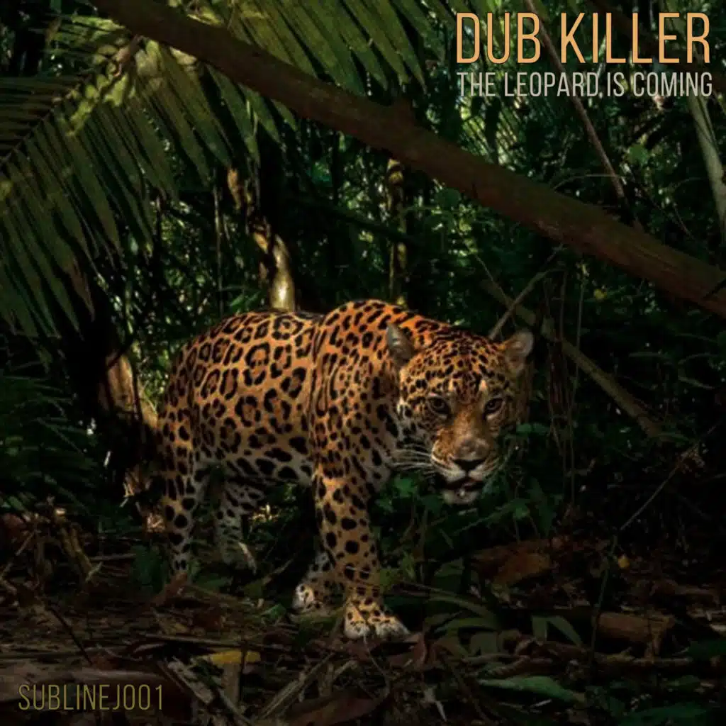 Dub Killer