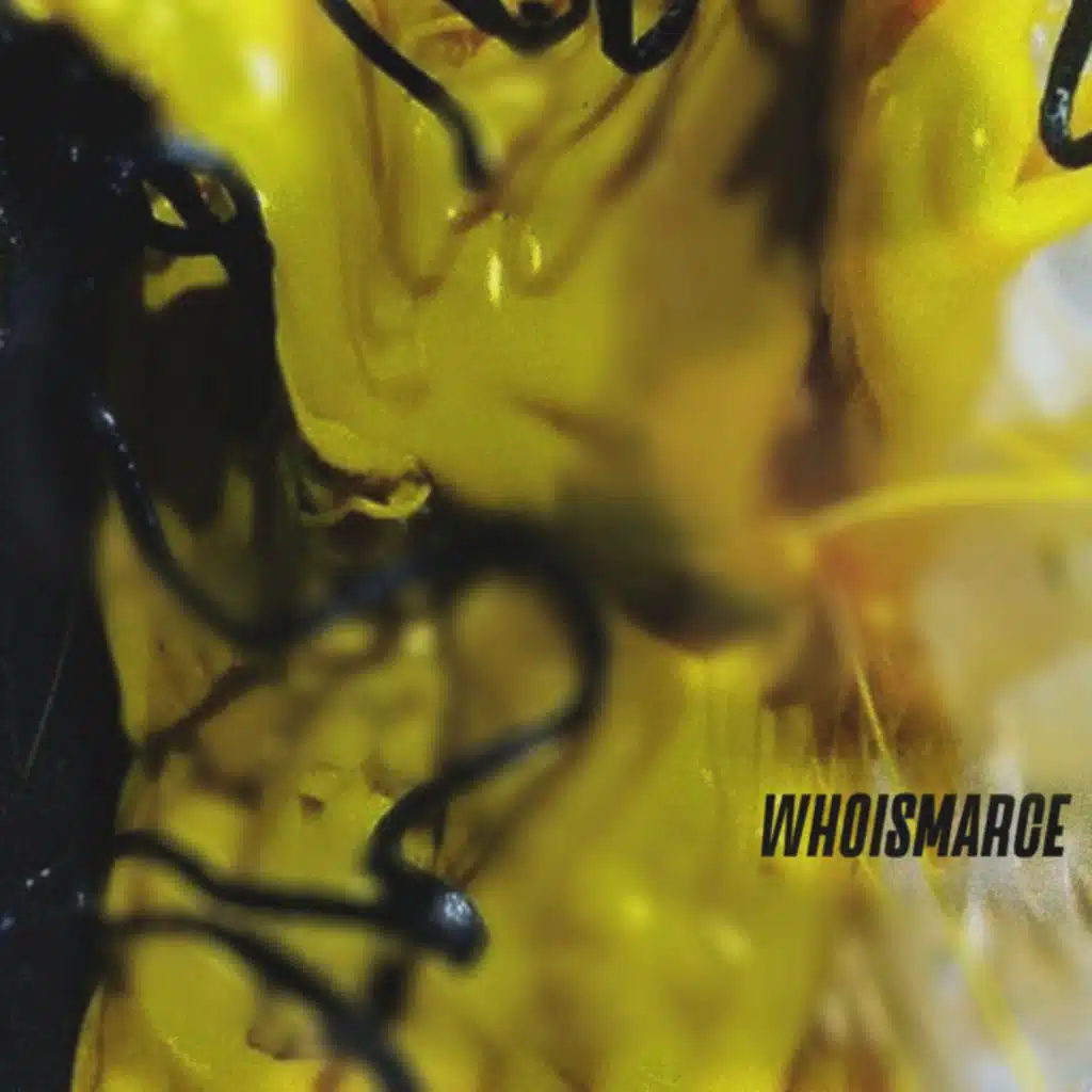 Whoismarce