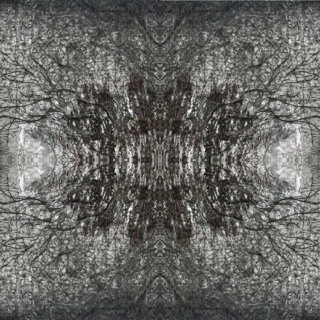 Zone Zero