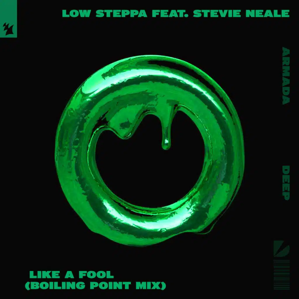 Like A Fool (Boiling Point Mix) [feat. Stevie Neale]