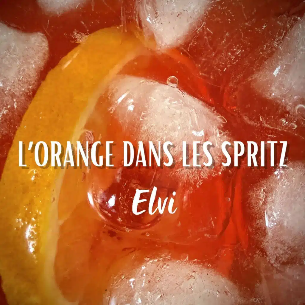 Elvi