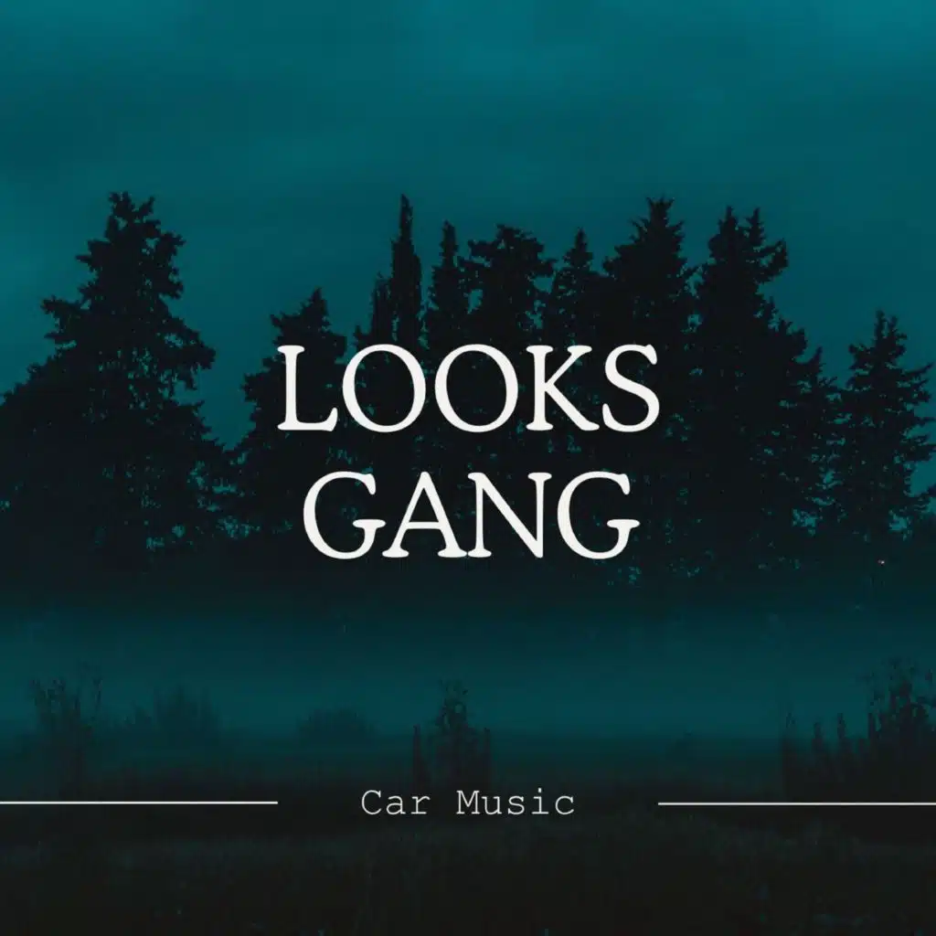 Looks Gang