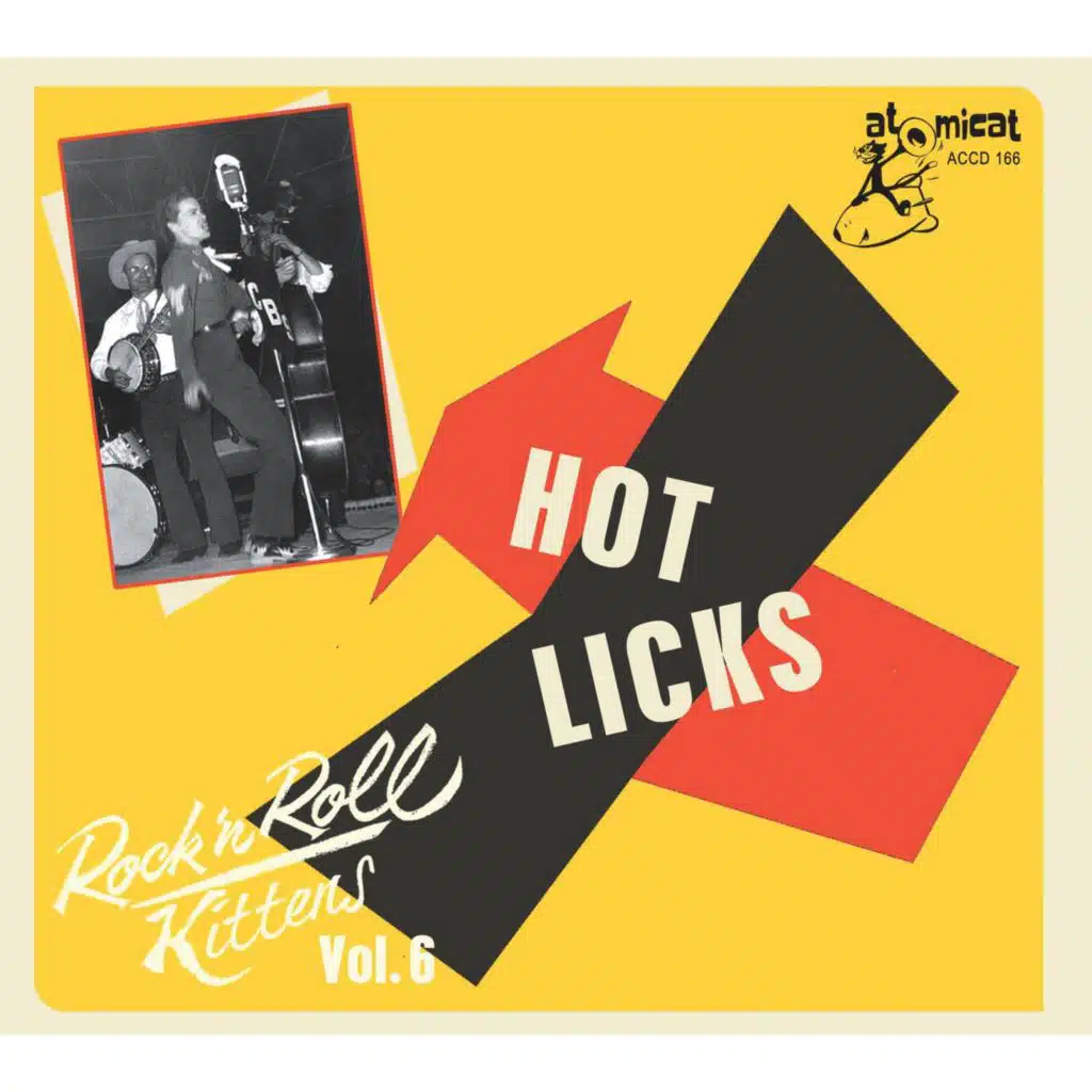 Rock 'n Roll Kittens, Vol. 6 - Hot Licks