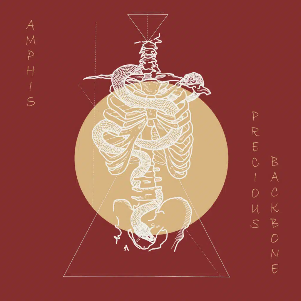 Amphis