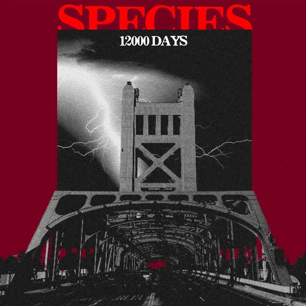 Species