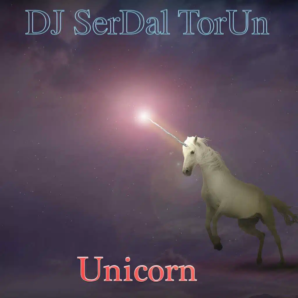 DJ Serdal Torun
