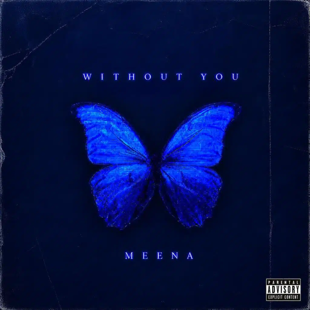 Without You